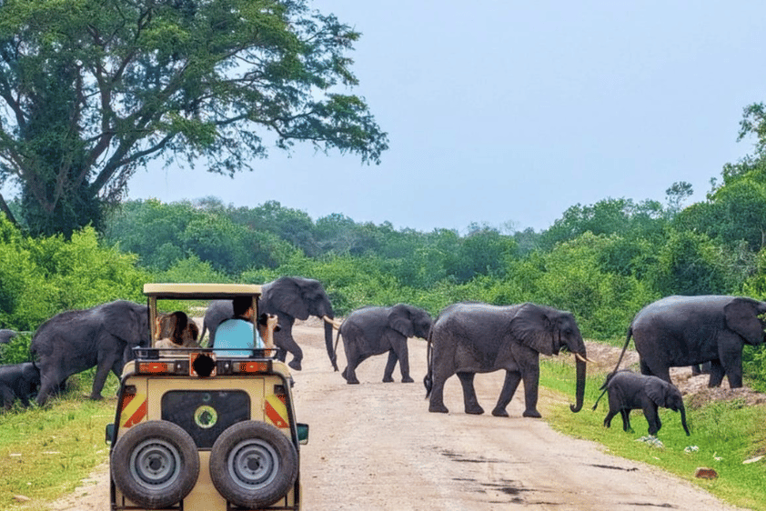 Wilpattu National Park in Sri Lanka