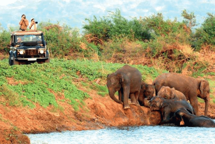 Private Tour Packages in Sri Lanka