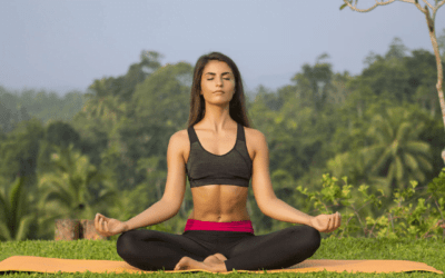 Wellness and Serenity: The Best Yoga and Meditation Retreats in Sri Lanka