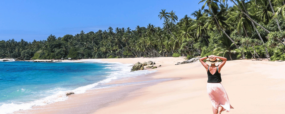 Sri Lanka on a Budget - How to Experience the Island's Magic without Breaking the Bank