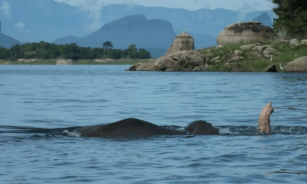 Gal Oya National Park