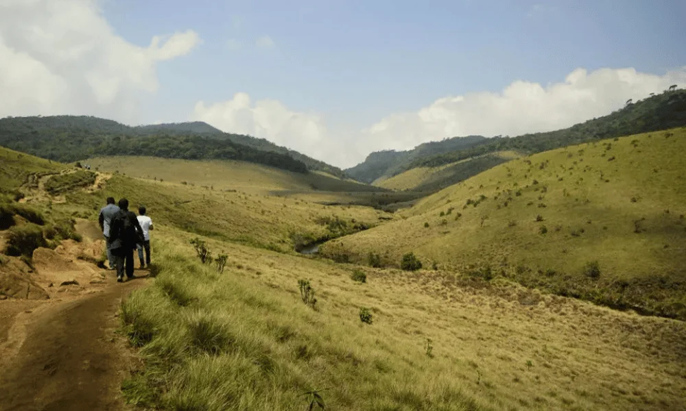 Horton Plains National Park