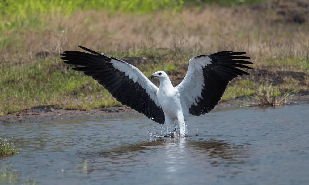Kumana National Park