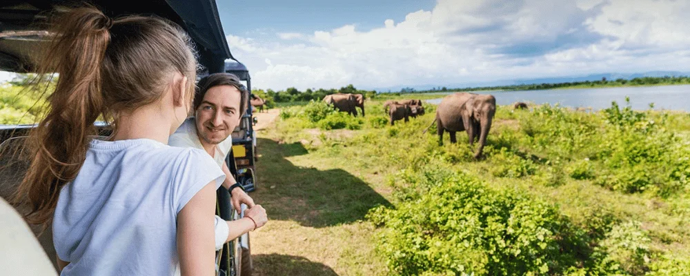 Sri Lanka's Top National Parks