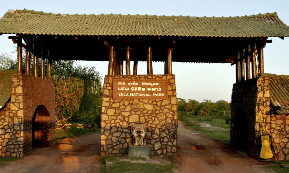 yala national park