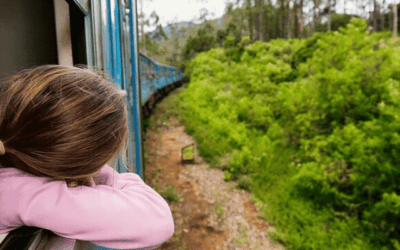 The Perfect Family Vacation: Kid-Friendly Activities in Sri Lanka
